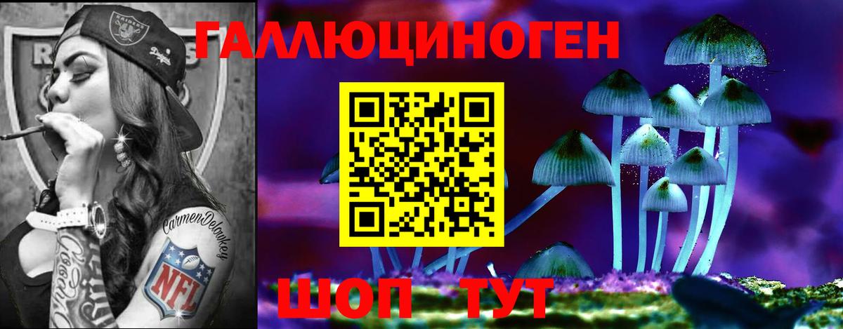 Псилоцибиновые грибы Psilocybe Грозный